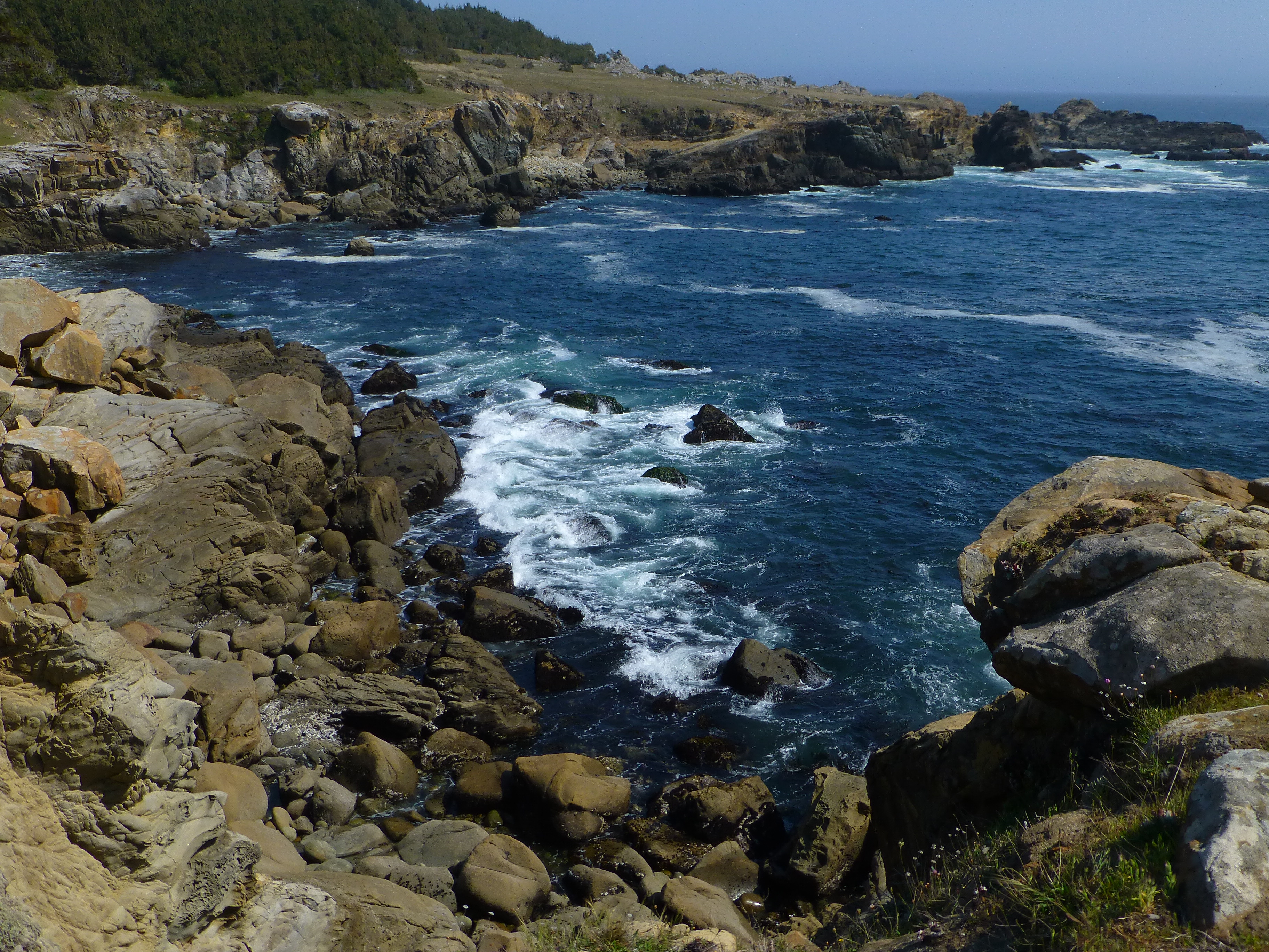 Salt Point state park