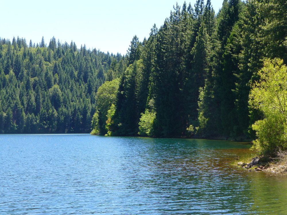 Sugar Pine Reservoir
