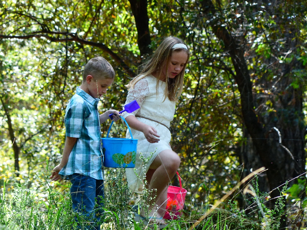 Easter Egg Hunt