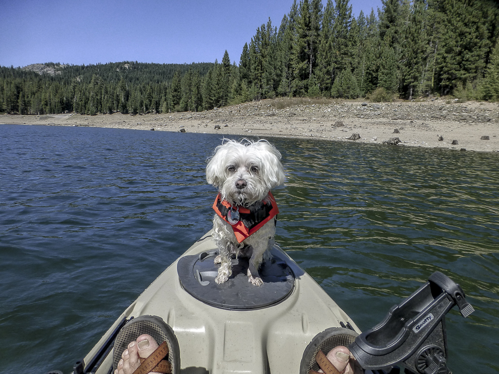 Jackson Meadows Res.