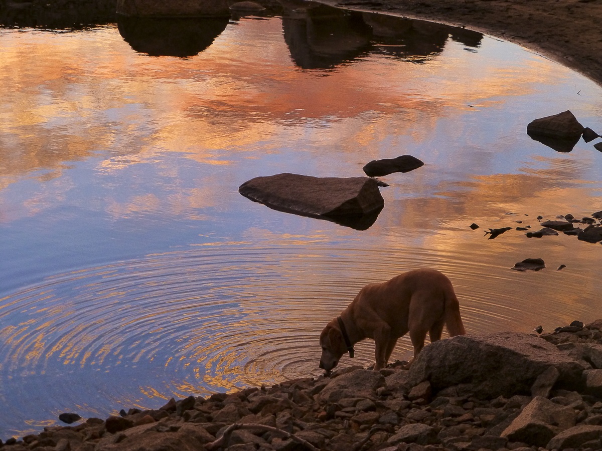 Loon Lake Sunset