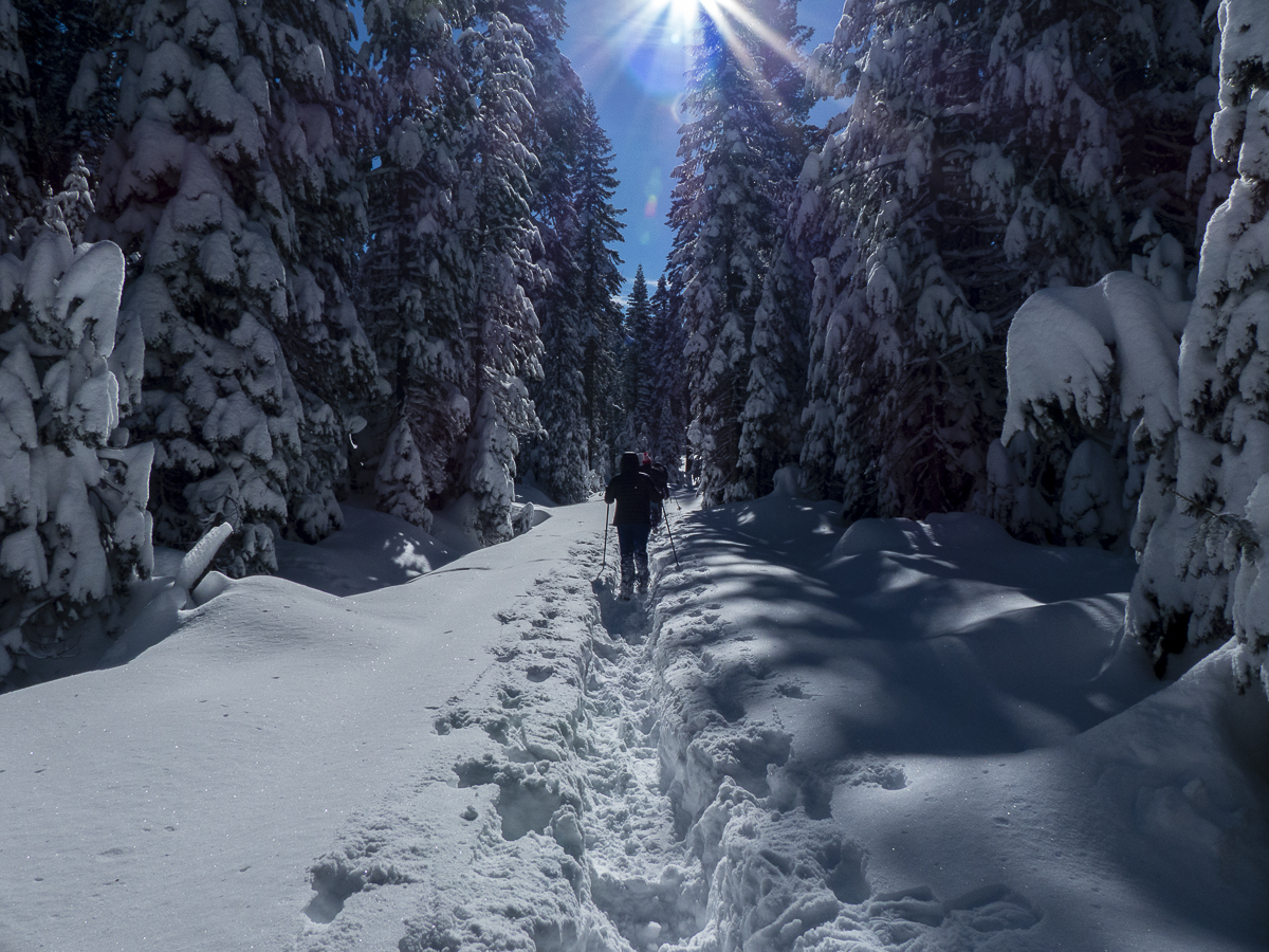 Winter in the Sierra Mtns