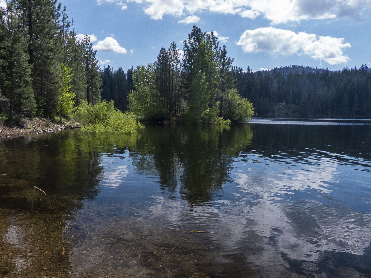 Jackson Meadows