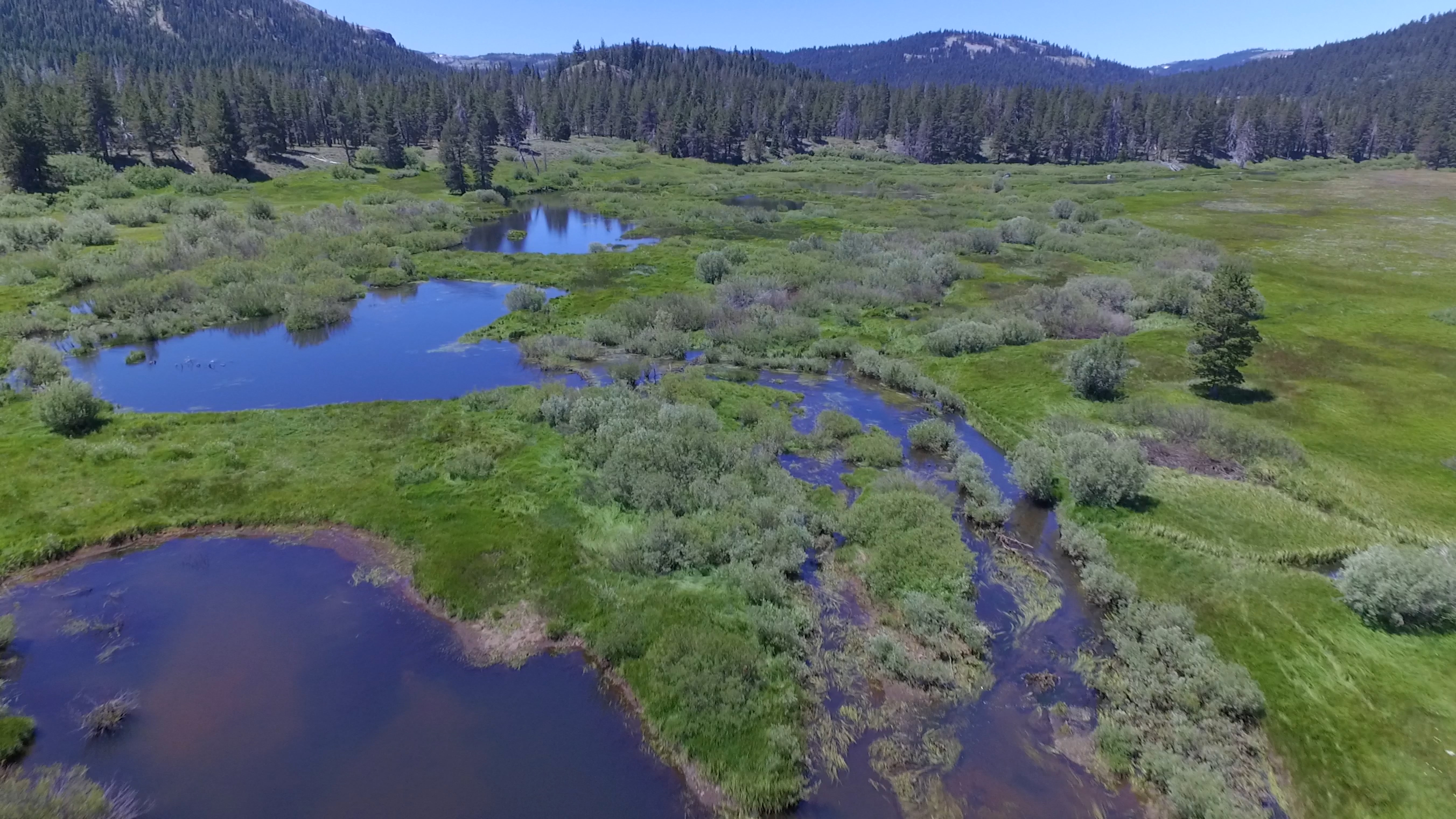 Perrazo Meadows